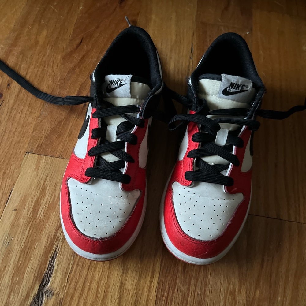 -Nike dunks